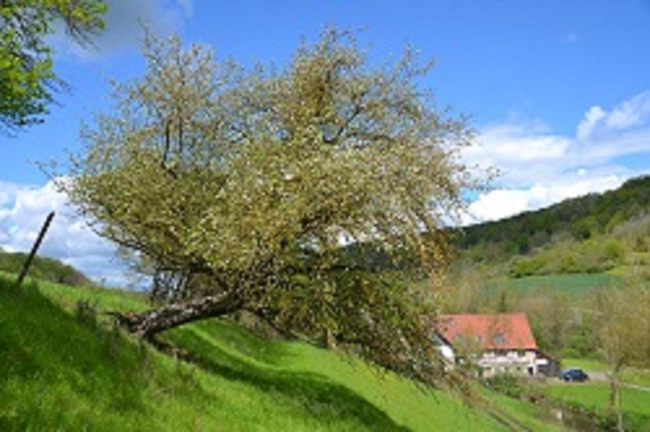 קרגלינגן Gasthaus Holdermuehle מראה חיצוני תמונה